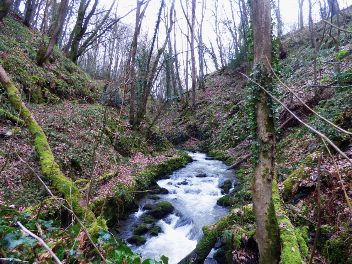 The Mill Cottage Llechryd Dış mekan fotoğraf